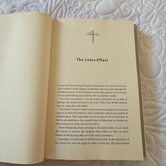 Mind Whispering: A New Map To Freedom From Self-Defeating Emotional Habits Book - Picture 7 of 14